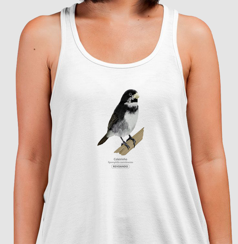 Aves do Brasil - Coleirinho - Regata