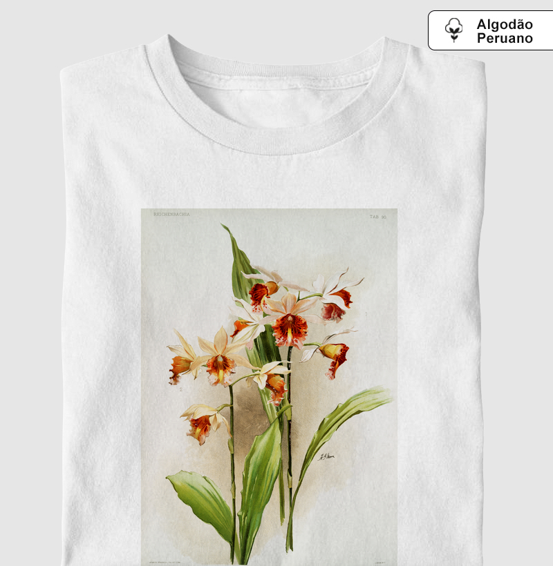 Phaius and Amabilis