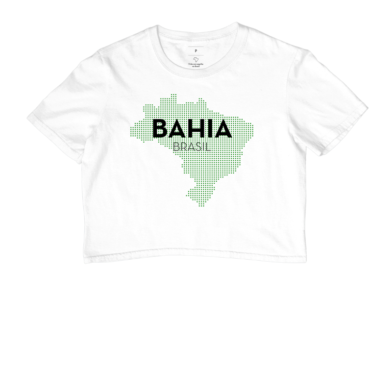 Cropped Bahia Estado Mapa Brasil
