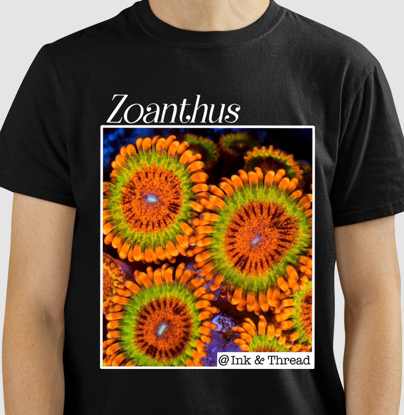 Zoanthus GMK