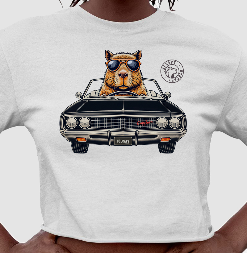 Dodge Capy