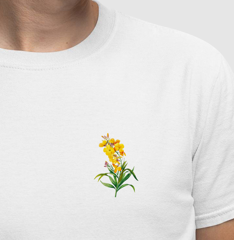 Coleção Orquídeas