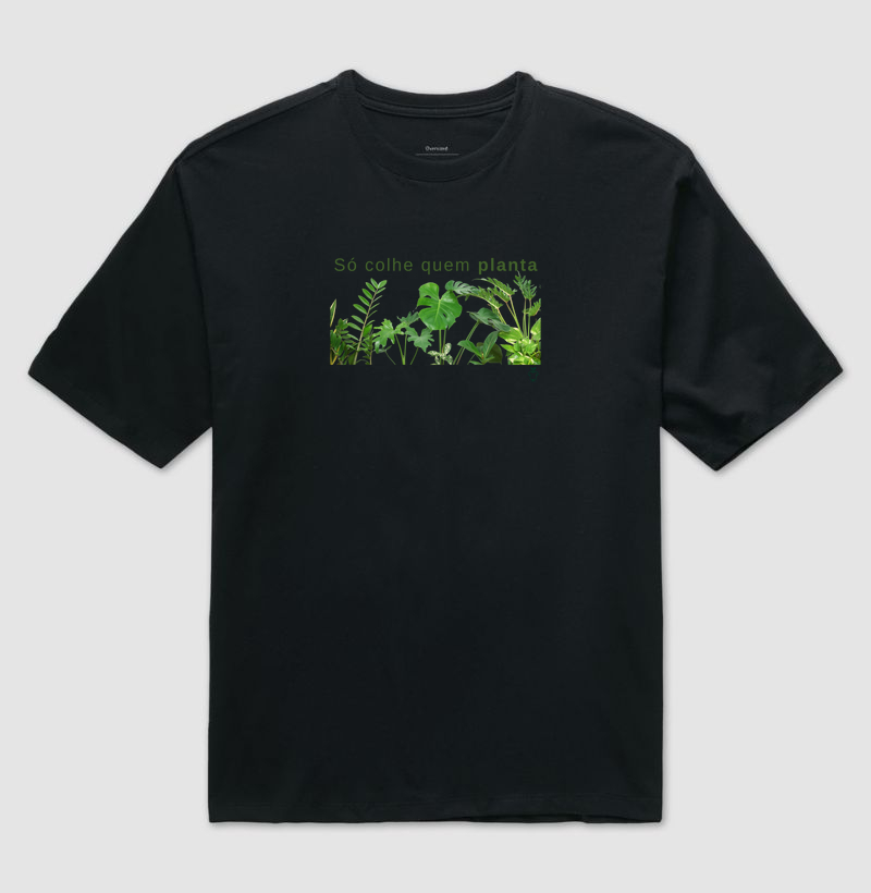 Só colhe quem planta