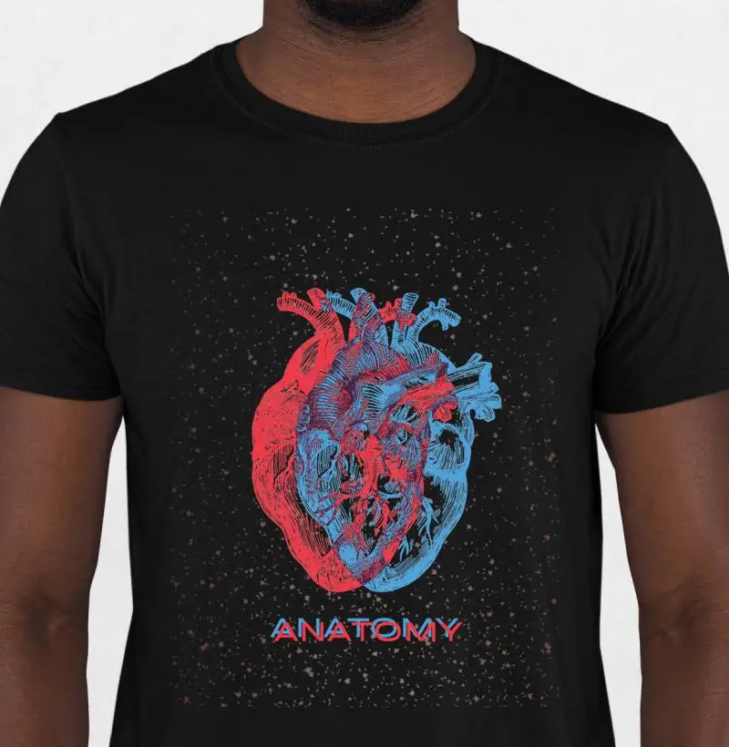 ANATOMY - HEART
