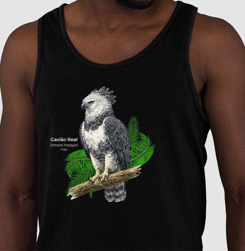 Gavião Real (Harpia harpyja)