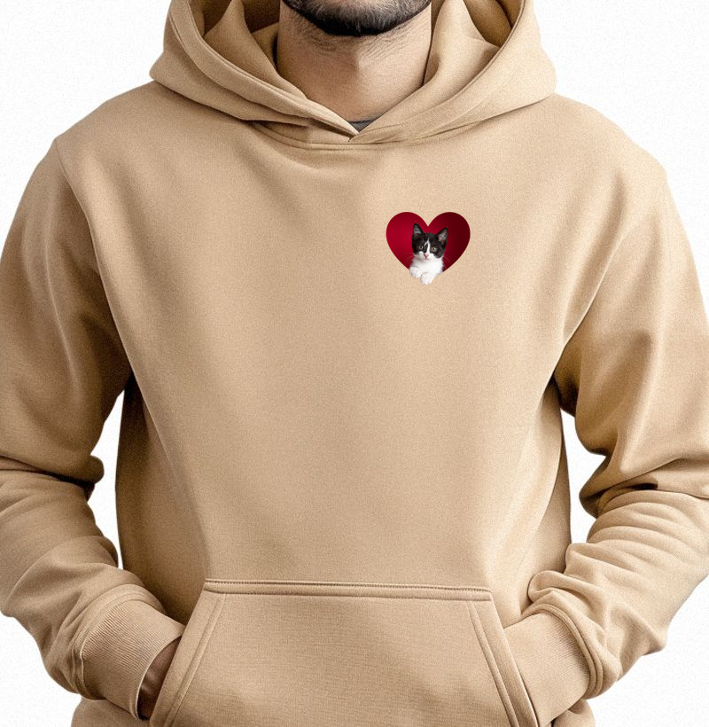 Meu Coração é Frajolinha