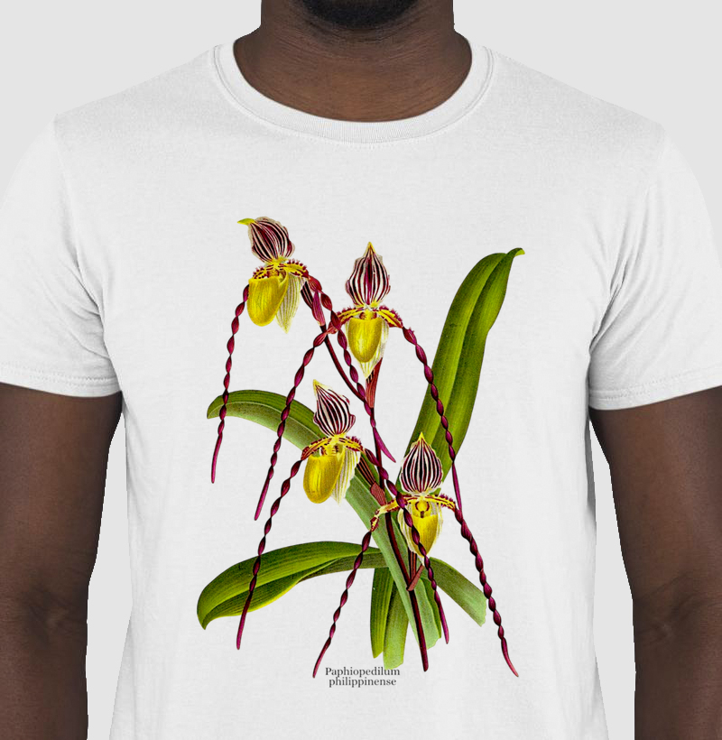 Camiseta Paphiopedilum philippinense