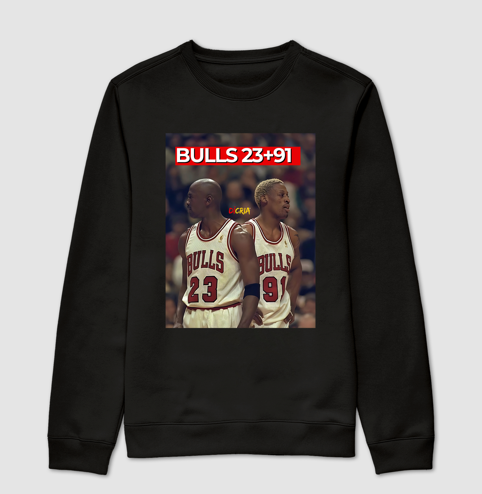BULLS2391