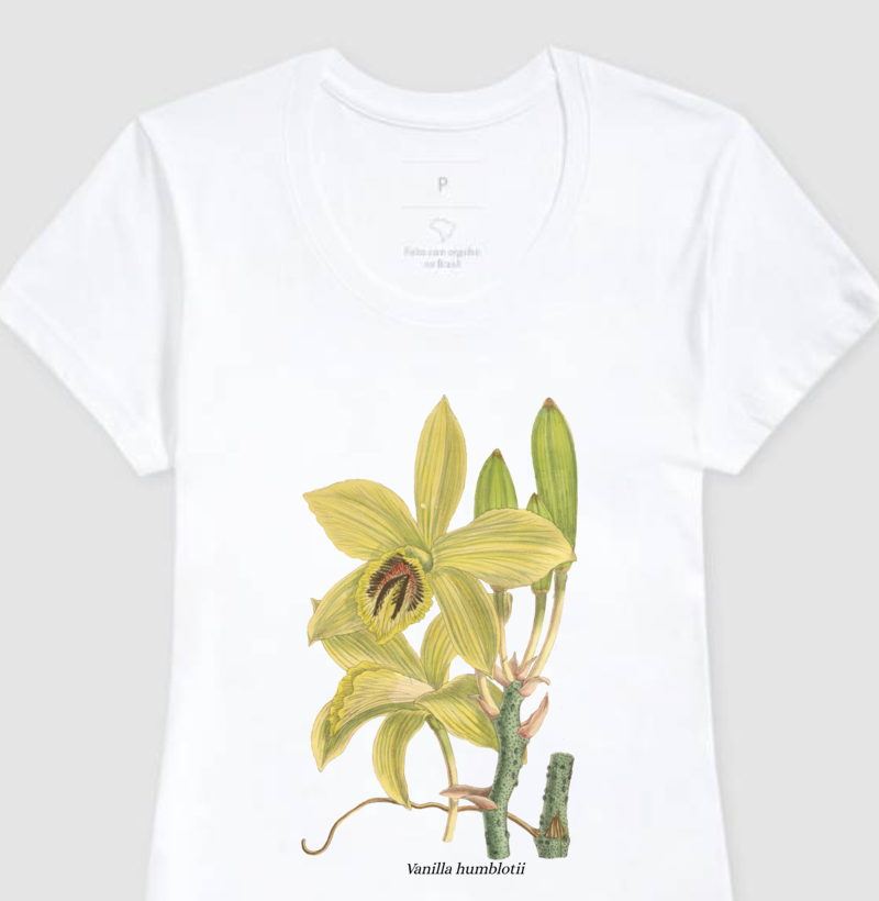 Baby Look Vanilla humblotii