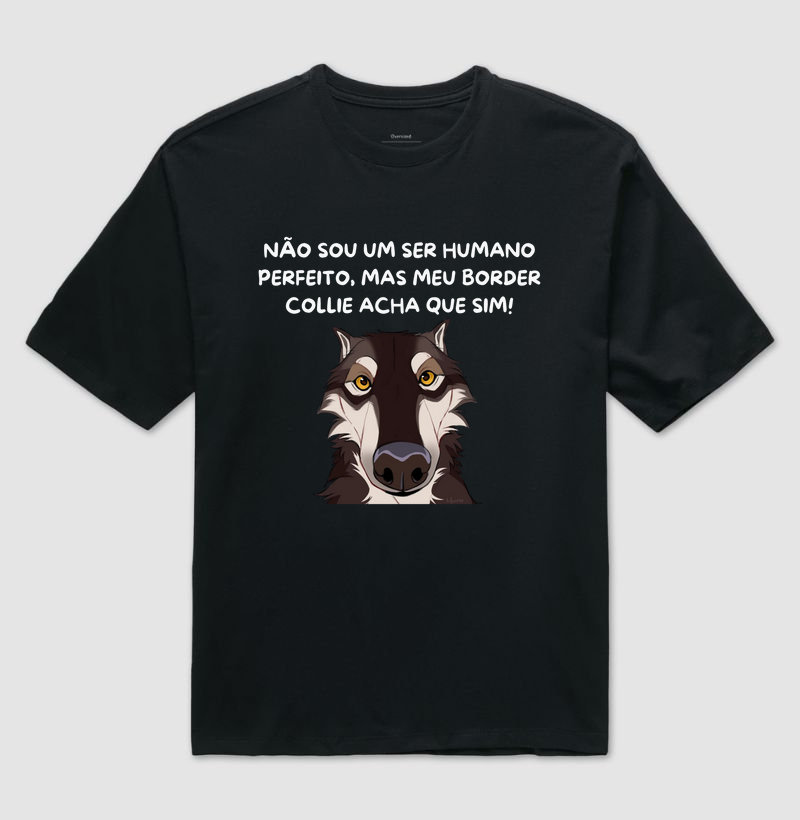 Não sou perfeito, mas meu border acha que sim
