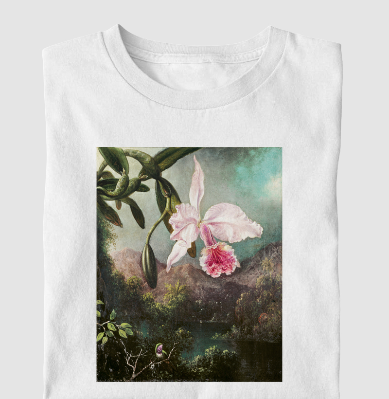 Orchid Blossoms