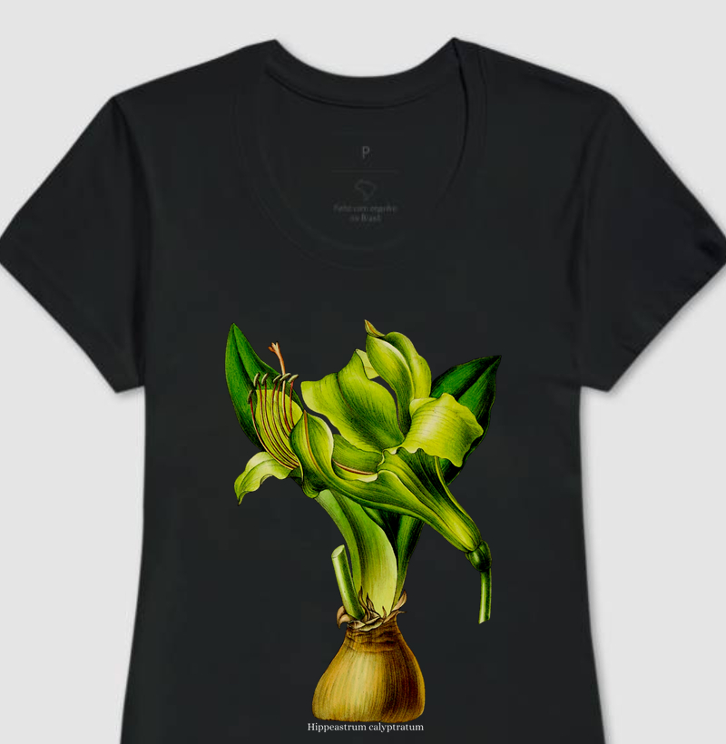 Camiseta Feminina Hippeastrum calyptratum