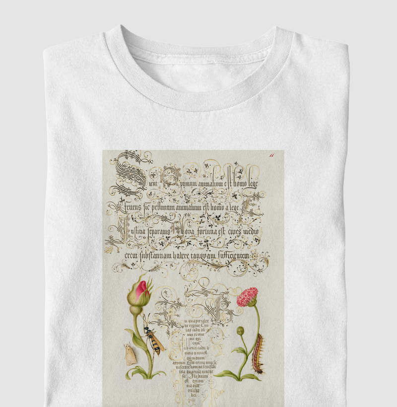 Wainscot, French Rose, Wasplike Insect, English Daisy, and Caterpillar
