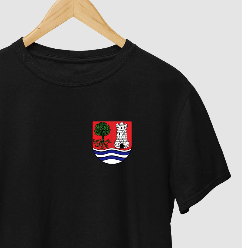 Escudo no Peito da Família Carvalhaes