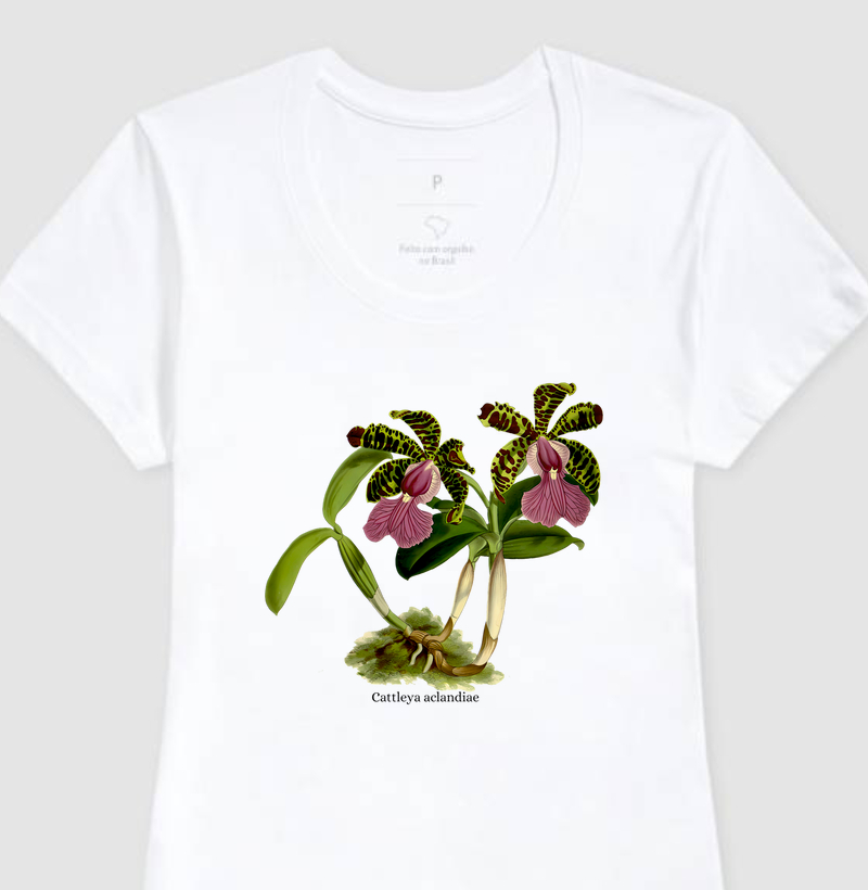 Camiseta Feminina Cattleya aclandiae