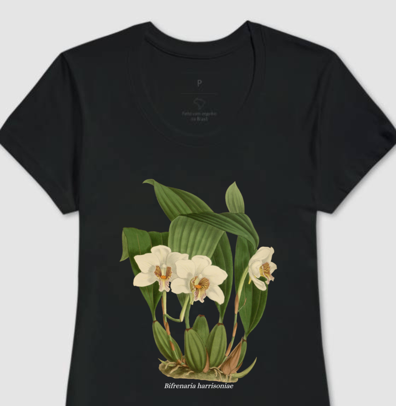 Baby Look Bifrenaria harrisoniae