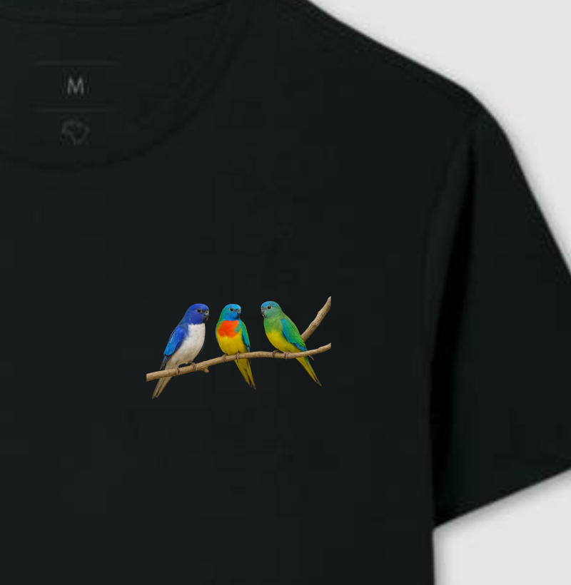 Camiseta - Minimalista Neophemas