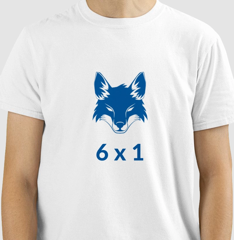 Camisa do Cruzeiro 6X1
