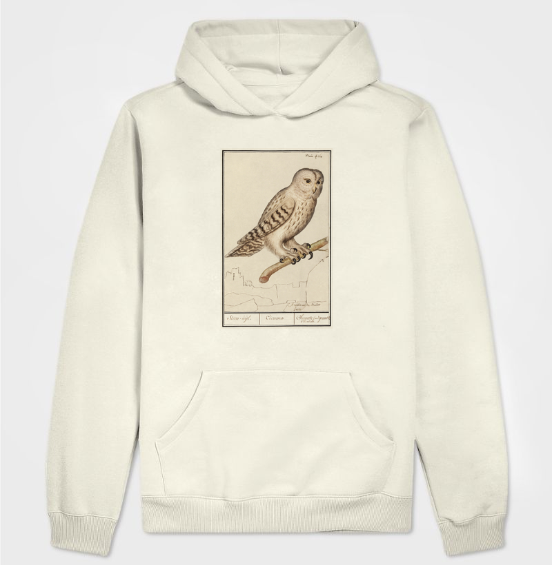 Tawny owl