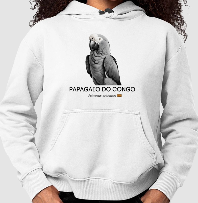 Papagaio do Congo III