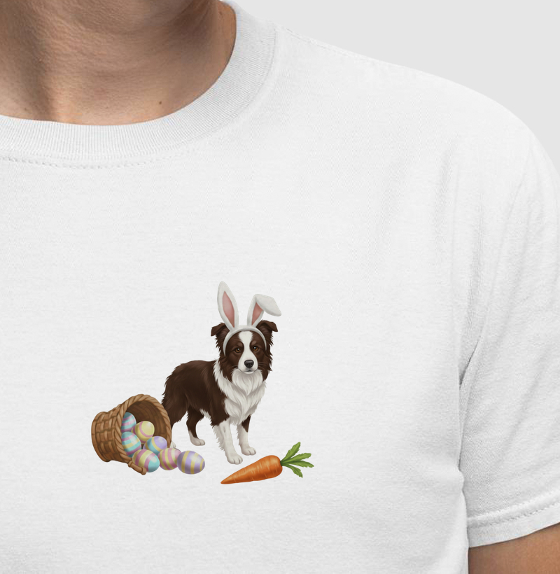 Border Collie - Páscoa