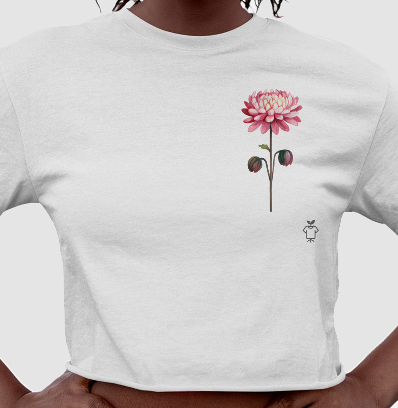 Coleção Flores