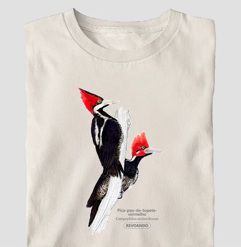 Aves do Brasil - Pica-pau-de-topete-vermelho - Oversized