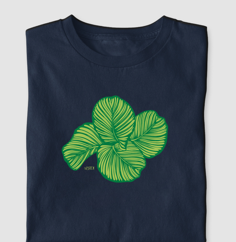 Calathea Orbifolia