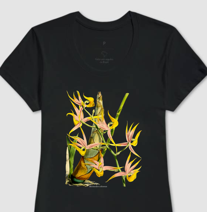Camiseta Feminina Mormodes colossus