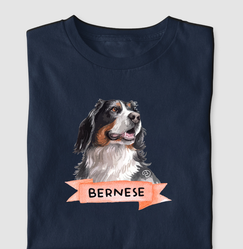 Bernese Fita