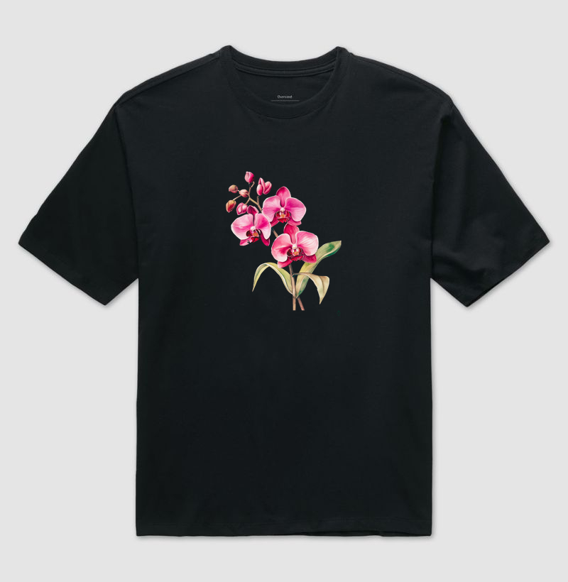 Coleção Orquídeas