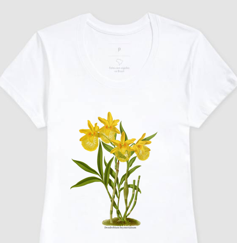 Camiseta Feminina Dendrobium brymerianum