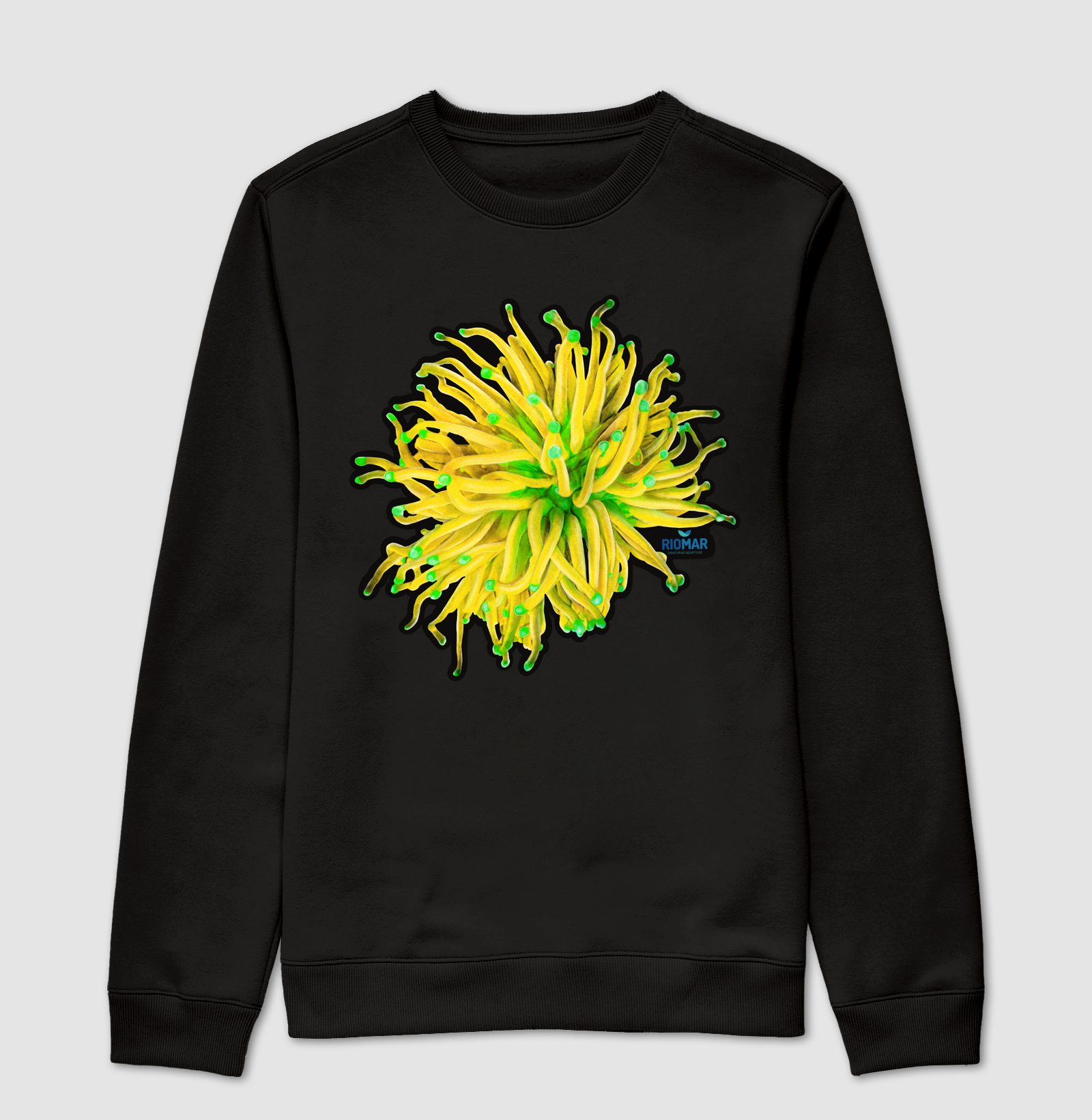 Torch FL