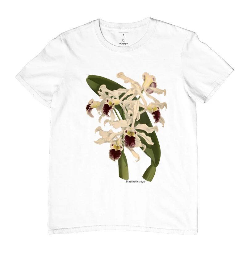 Camiseta Brasilaelia crispa t-shirt
