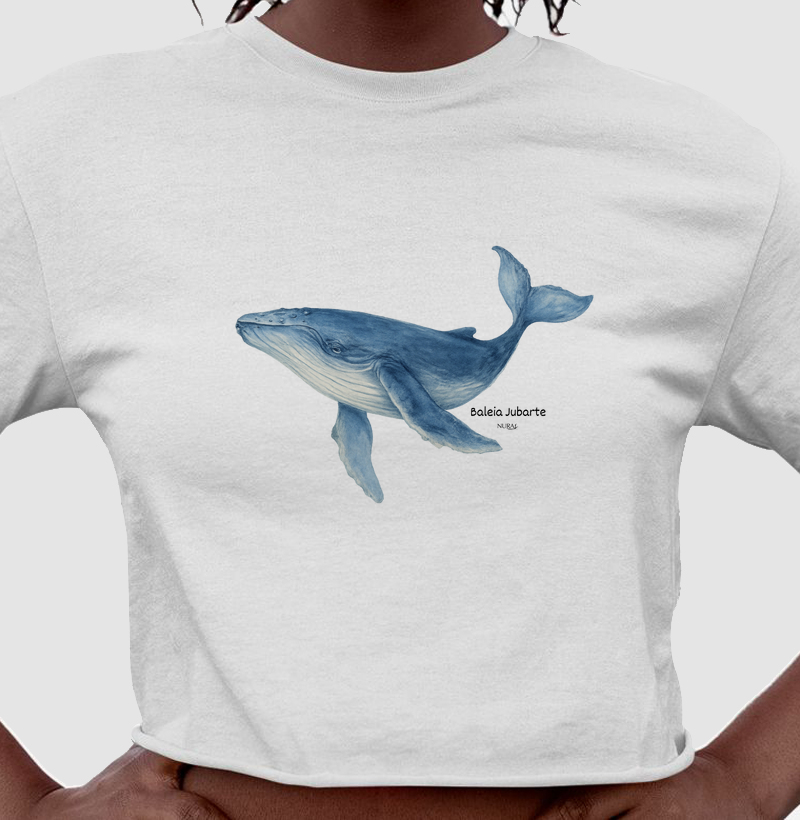 Baleia Jubarte