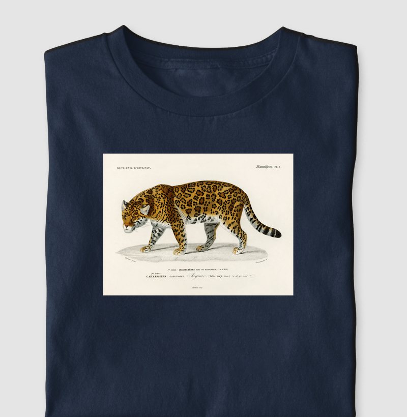 Onça-Pintada