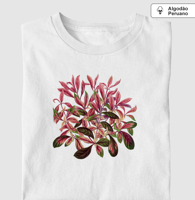 Alternanthera