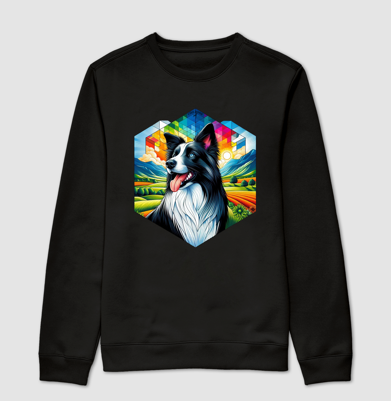 Border Collie Colorful