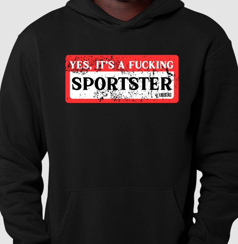 Its a Sportster