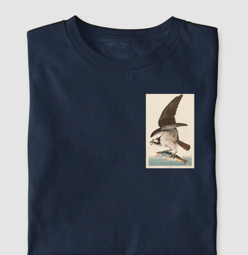 Fish Hawk