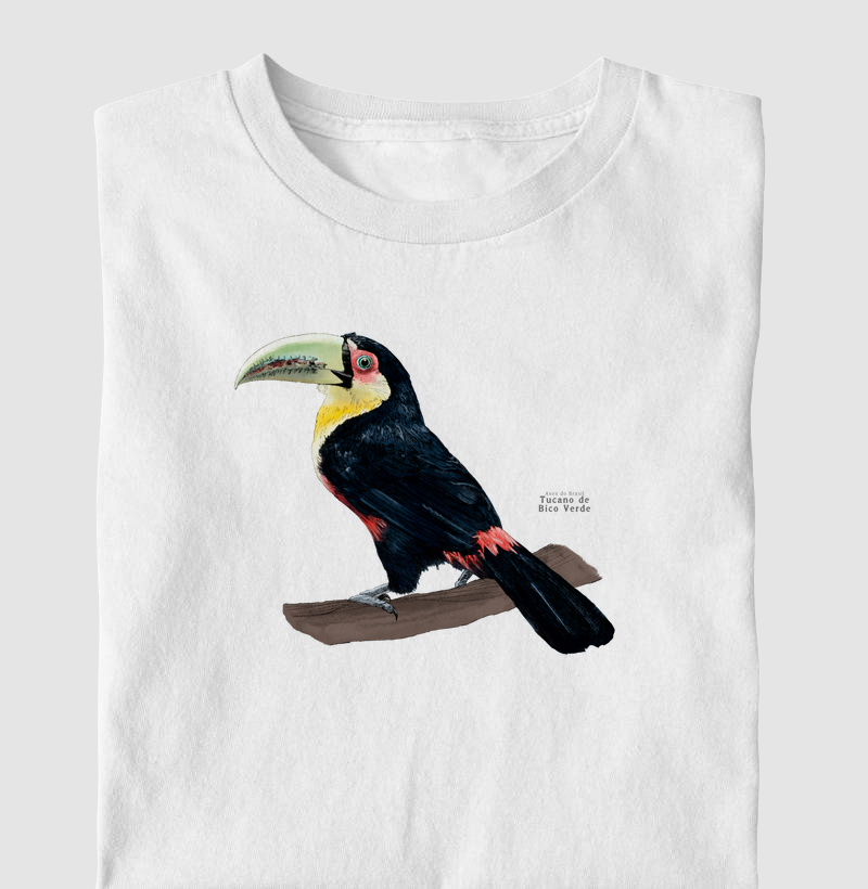 Aves do Brasil - Tucano de Bico Verde