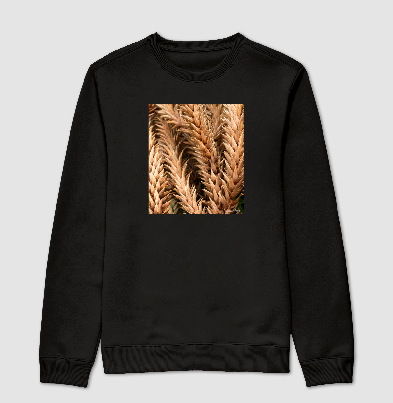 Camiseta Pinheiro