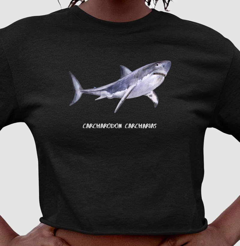 Carcharodon carcharias