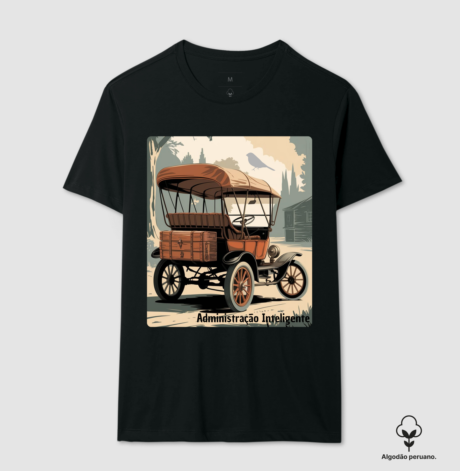 Ford T - O Ícone da Revolução Industrial