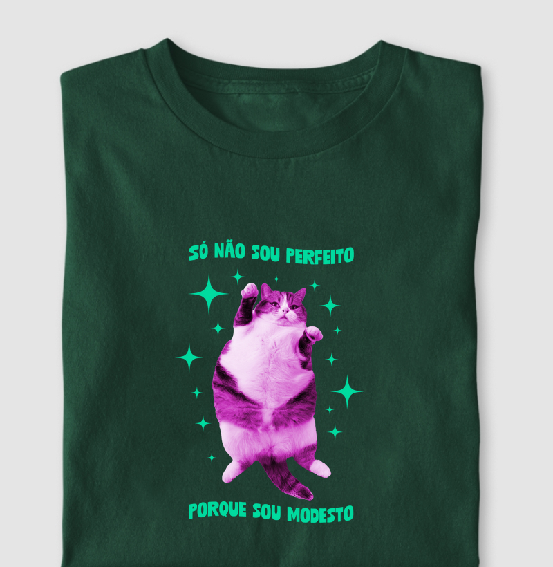 Só não sou perfeito porque sou Modesto