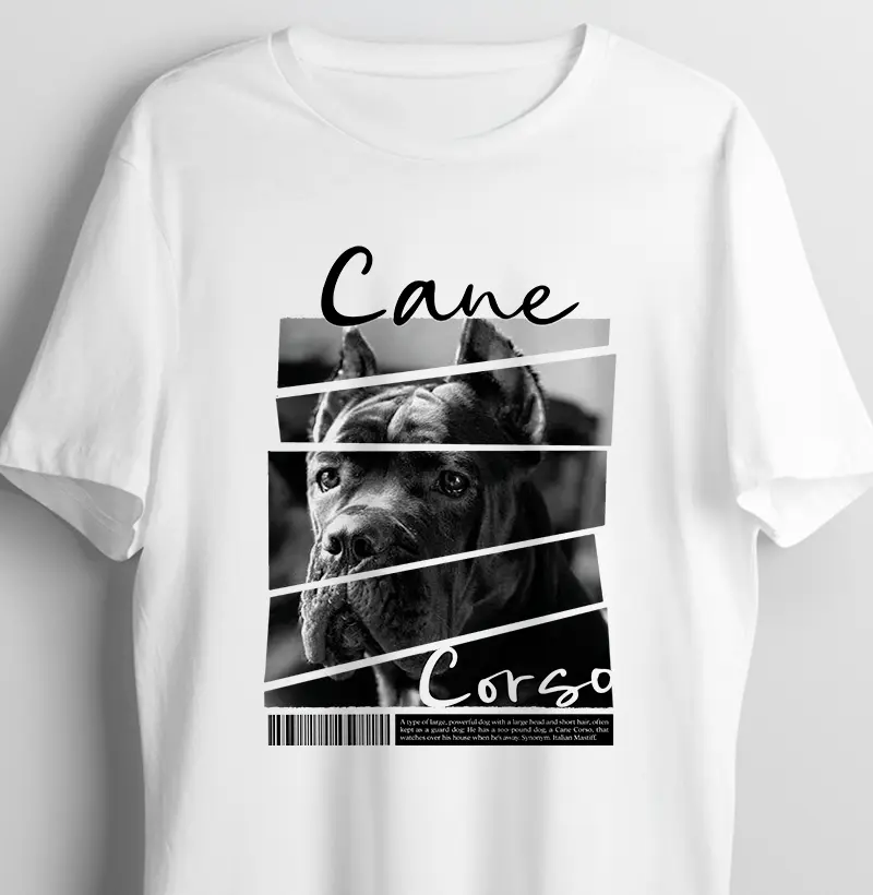 Cane Corso 