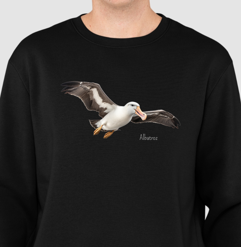 Albatroz