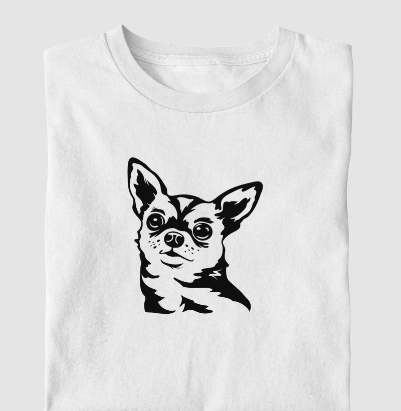 Chihuahua 2