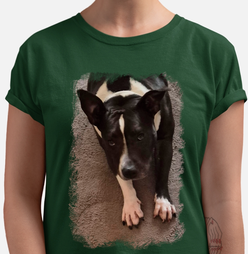 Cão BIG - Mod.01