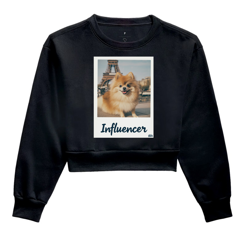 Influencer